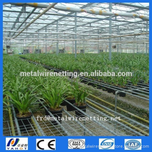 Greenhouse Seedbed Netting
